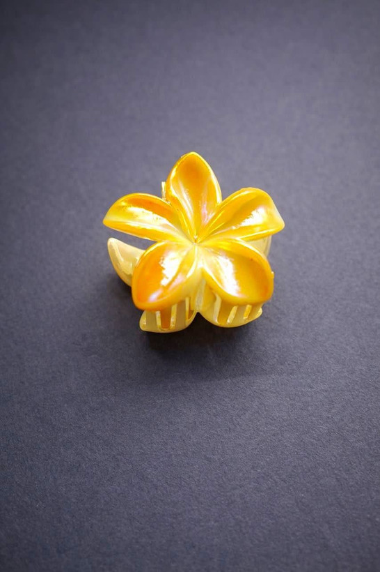 کلیپس مو پلومریا 4 سانت هلوگرام